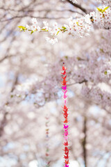 Pink Origami Garland on sakura tree, soft focus