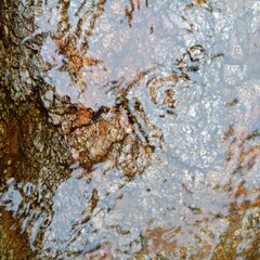 Water on the stone