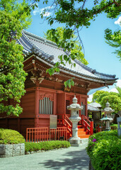 東京、浅草寺の薬師堂と初夏の風景