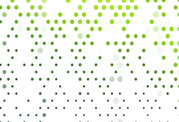 Light Green vector backdrop with dots.