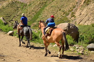 person riding horse transhumancia Patagonia 