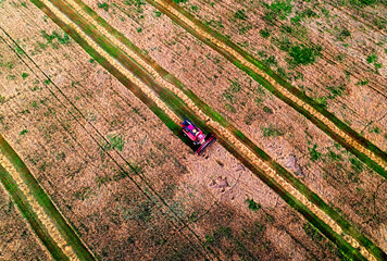 Spring wheat harwesting. Wheat and corn markets in crisis world’s breadbasket. Wheat import,...