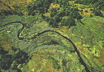Wild River. Aerial view of river in forest. Natural Resource and Ecosystem. Wildlife Refuge Wetland Restoration. European Green Nature Scenery. Greenhouse gases and ecology. Wetland, marsh and bog.