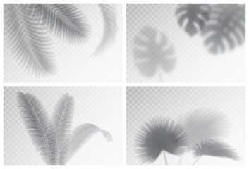 Fototapeta na wymiar Exotic foliage summer spring rainforest decoration black silhouettes, set of tropical backgrounds. Floral design backdrops collection with rainforest bushes, leaf bushes on transparent