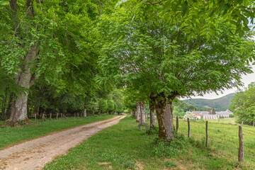 Roncesvalles. Walk of the Canons. Navarrese Pyrenees