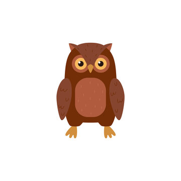 Cute owl cartoon character, flat vector illustration isolated on white background.
