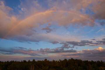 Fototapeta na wymiar Ein Regenbogen in der Abendsonne 
