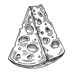 Cheese hand drawn vector illustration.