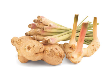 Lemongrass, Galangal rhizome and ginger isolated on white background with clipping path.