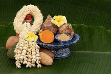 Curcuma aromatica and powder on green banana background.