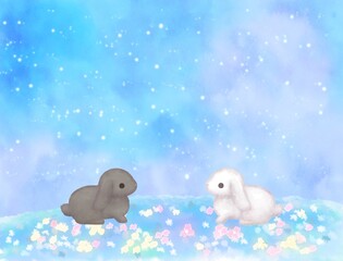 白兎と黒兎　星空