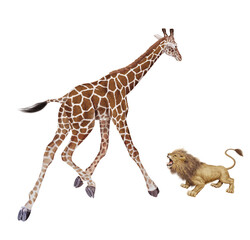 girafe, attaque, , animal, lion, mammifère, fauve, courageux, docile, dangereux, illustration, canidé, keya, afrique, menasse, zoologique, sauvage, grand, nature, 