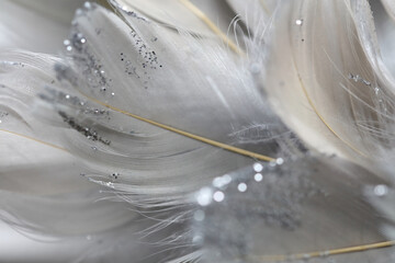 Gentle sparkling feather background close up