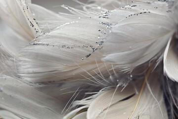 Gentle sparkling feather background close up