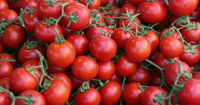 Red ripe juicy tomatoes on market closeup
