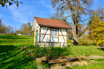Fototapeta premium Orchard Meadow With Cabin In Autumn