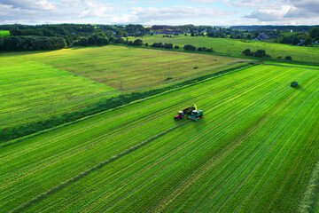 Cutting grass silage at field. Forage harvester on grass cutting for silage in field....