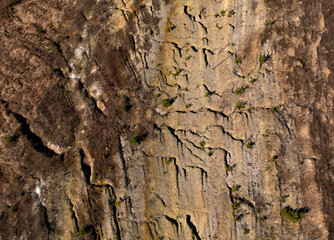 Soil earth background, top view. Relief of cracked earth. Land structure of parched earth. Ground background and Rock texture after earthworks. Dry sand and cracked soil. Global natural disaster.
