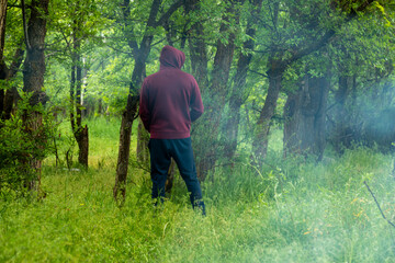 Unrecognized man in hoody peeing near tree in forest - obrazy, fototapety, plakaty