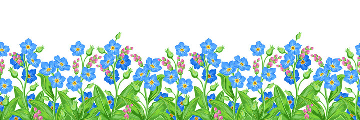 blue forget-me-not flowers on white background. summer floral seamless horizontal pattern, vector illustration