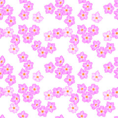 pink forget-me-not flowers on white background. summer floral seamless pattern, vector illustration