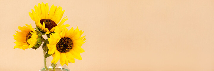 Bouquet of yellow sunflowers in a glass vase, banner with copy space. Wide panoramic header