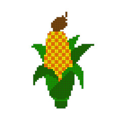 Pixel art corn on white background. vector illustration.