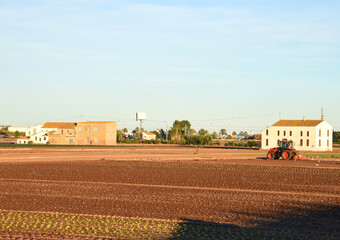 Tractor with disc cultivator during field cultivating. Cultivated land and soil tillage....