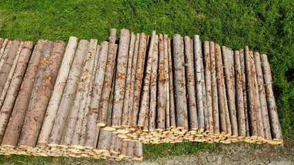 Fototapeta premium Pile of wood in the forest drone shot