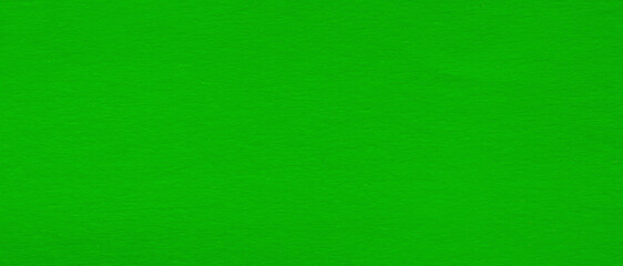 Fototapeta premium Textured bright green paper texture