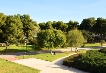 Valencia Central Park on Turia River. People walk in park on the grass. Green garden with trees in park. .