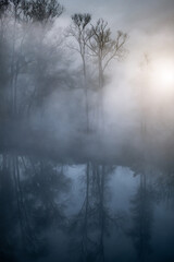 Fototapeta na wymiar Autumn trees near river hidden in dense mist