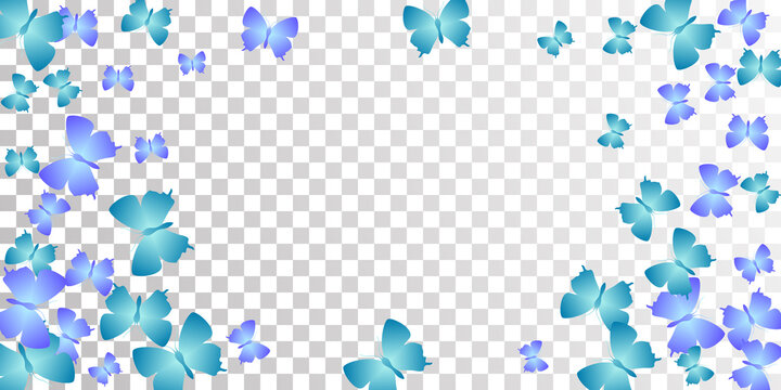 Romantic blue butterflies flying vector wallpaper. Summer vivid insects. Fancy butterflies flying fantasy background. Gentle wings moths graphic design. Fragile beings. © SunwArt