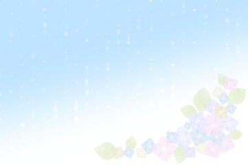 Fototapeta premium 雨とアジサイ 梅雨 ブルー 水色 ピンク