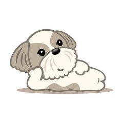 シーズー　休憩する