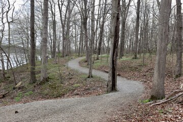 The winding gravel path up the slope on the woods.
