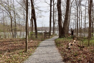 The empty gravel path in the forest on a sunny day.