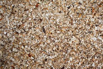 Close-up of a layer of sawdust from freshly sawn trees. Wood sawing waste used for heating.