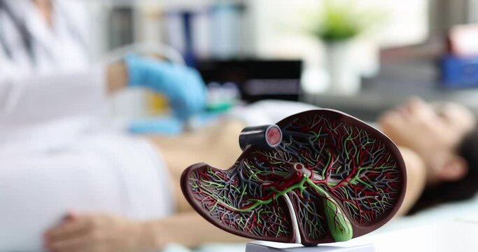 Ultrasound diagnosis of stomach and liver on abdominal cavity of woman in clinic closeup