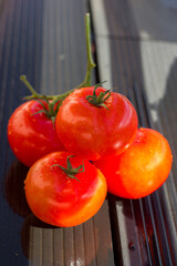 four red tomatoes with drops on a light background, copy space for text	