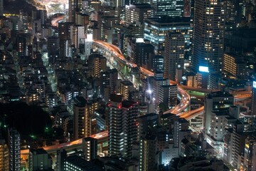 The streets of Tokyo Japan at Night