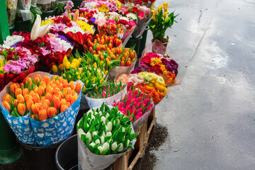 Flowers for sale in the early morning in the rain on the street of Milan, Italy, street sale of flowers, spring morning in a European city, tourist travel in Europe