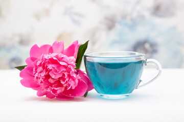 Fototapeta na wymiar Blue herbal drink in cup with pink peony flower, anchan tea