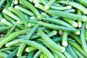 lady finger stock on shop