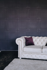 White sofa, chester in the interior. Photo studio in classic minimalism.