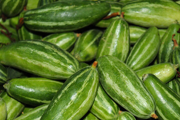 pointed gourd stock on shop for sell