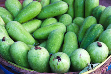 wax gourd stock on shop for sell