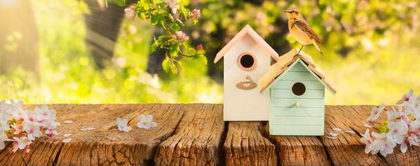 Two colorful bird houses with little bird on a wooden table in a blooming orchard with sunlight rays - Powered by Adobe