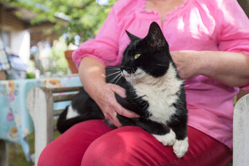 A black cat sitting on a woman's lap