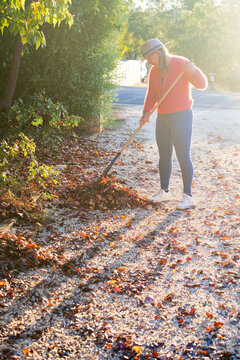 A woman in a colourful jumper raking up leaves and casting long shadows up a gravel driveway